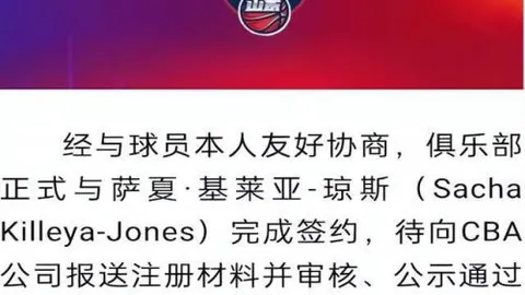 戴琳承诺债务未偿：遗属款项尚待落实，媒体追踪动态